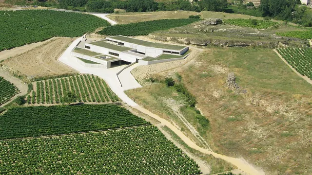 Vinařství Bodega Contador uprostřed vinic.