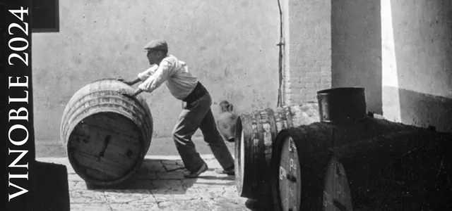 Motiv se sudy ze série Vinoble 2024.