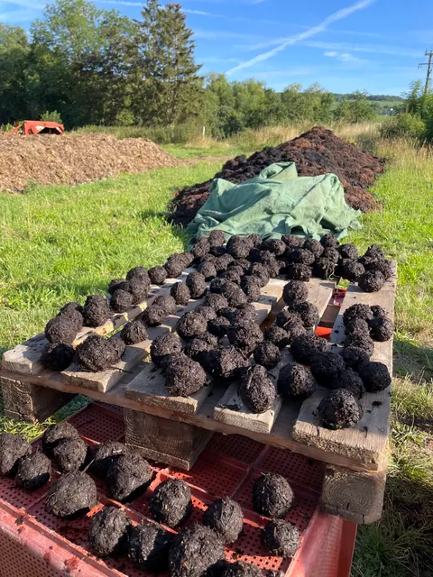 Příprava biodynamických preparátů.