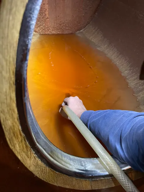 Kontrola moštu při zpracování hroznů.