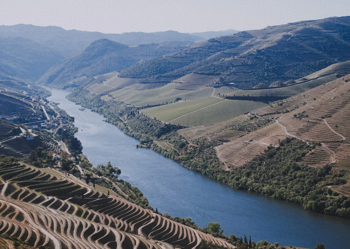 Terasy vinic nad řekou Douro.