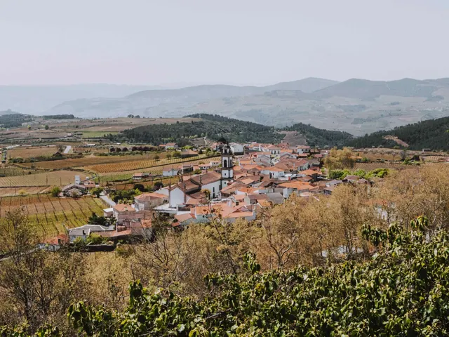 Vinařská krajina a obec v údolí Douro.