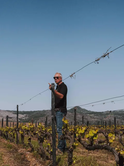 Práce ve vinici Quanta Terra.